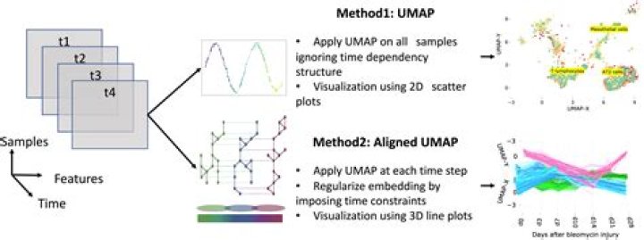 Everything About ùmap - Crispme